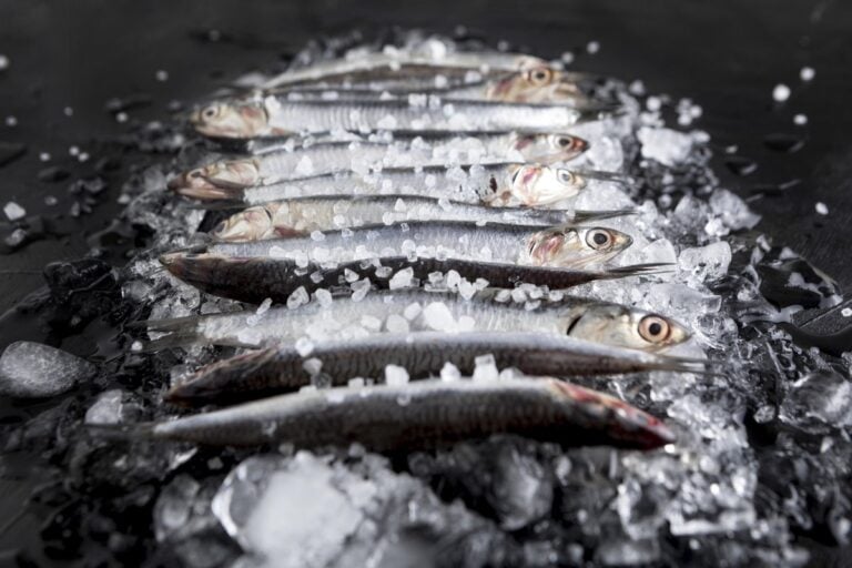 Eine Reihe kleiner roher Fische auf zerstoßenem Eis vor dunklem Hintergrund
