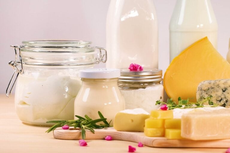 Hartkäse, Blauschimmelkäse, Butter, Frischkäse im Bügelglas und Milchflaschen auf einem Holzbrett